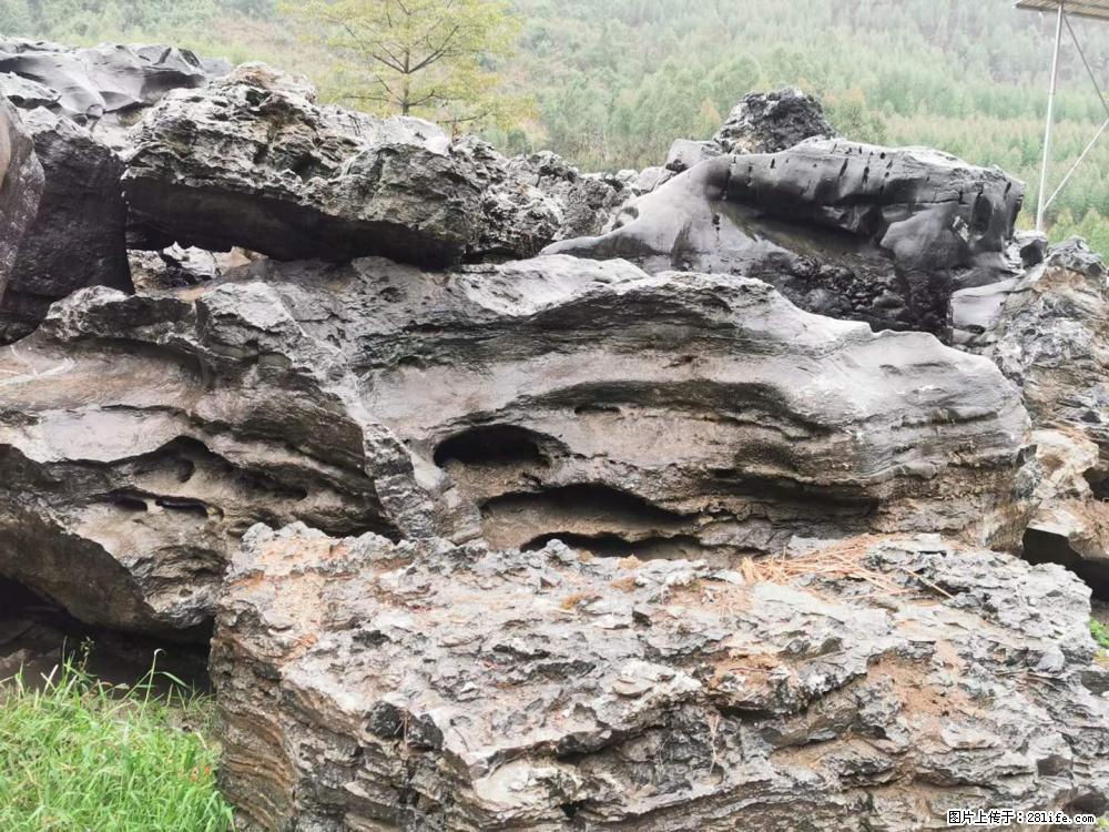 风景石、假山石大量有货，有需要的欢迎联系 - 新手上路 - 长葛生活社区 - 长葛28生活网 changge.28life.net