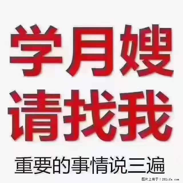 为什么要学习月嫂，育婴师？ - 其他广告 - 广告专区 - 长葛分类信息 - 长葛28生活网 changge.28life.net