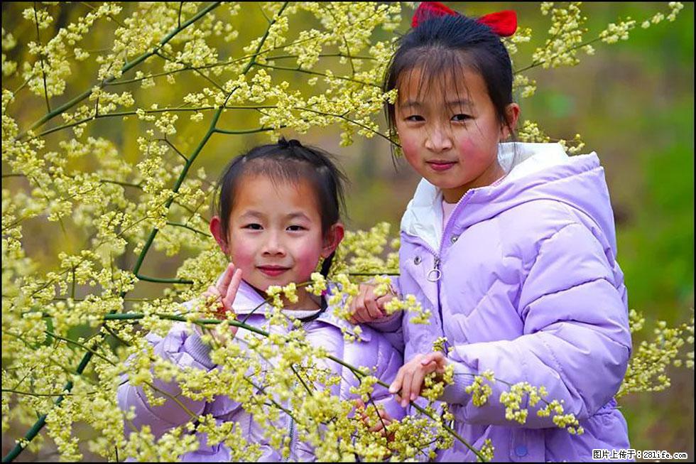 【春天，广西桂林灌阳县向您发出邀请！】米珠山前有片山苍子花在飘香 - 游山玩水 - 长葛生活社区 - 长葛28生活网 changge.28life.net