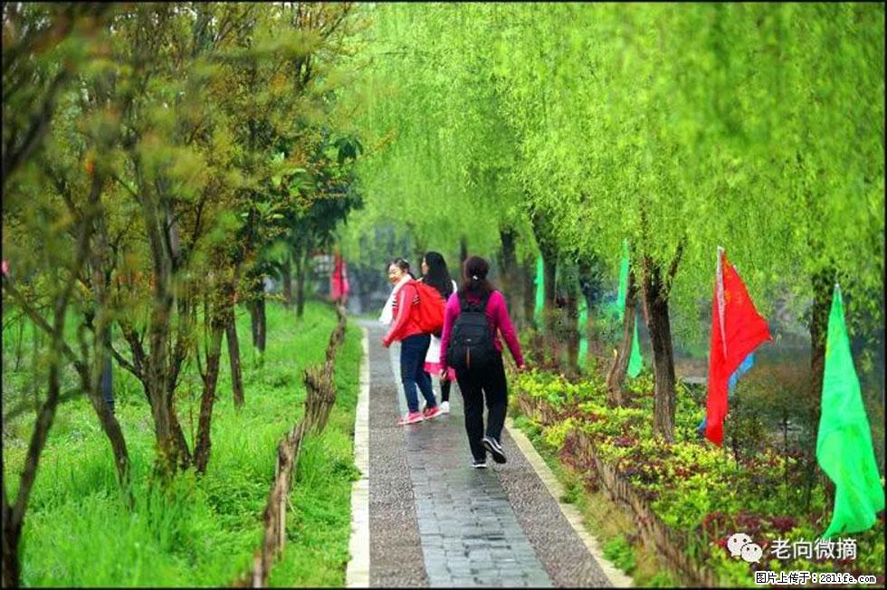 【春天，广西桂林灌阳县向您发出邀请！】江口老街又逢春 - 游山玩水 - 长葛生活社区 - 长葛28生活网 changge.28life.net