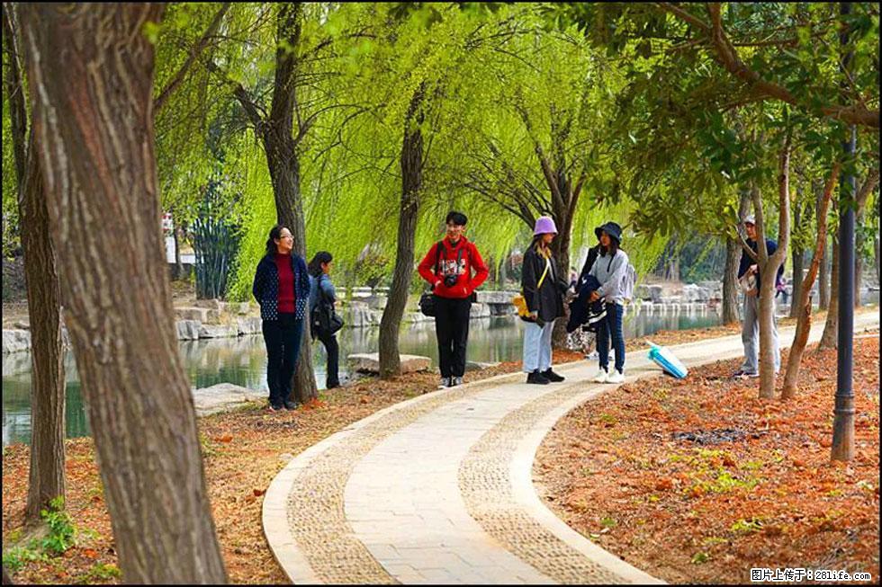 【春天，广西桂林灌阳县向您发出邀请！】江口老街又逢春 - 游山玩水 - 长葛生活社区 - 长葛28生活网 changge.28life.net