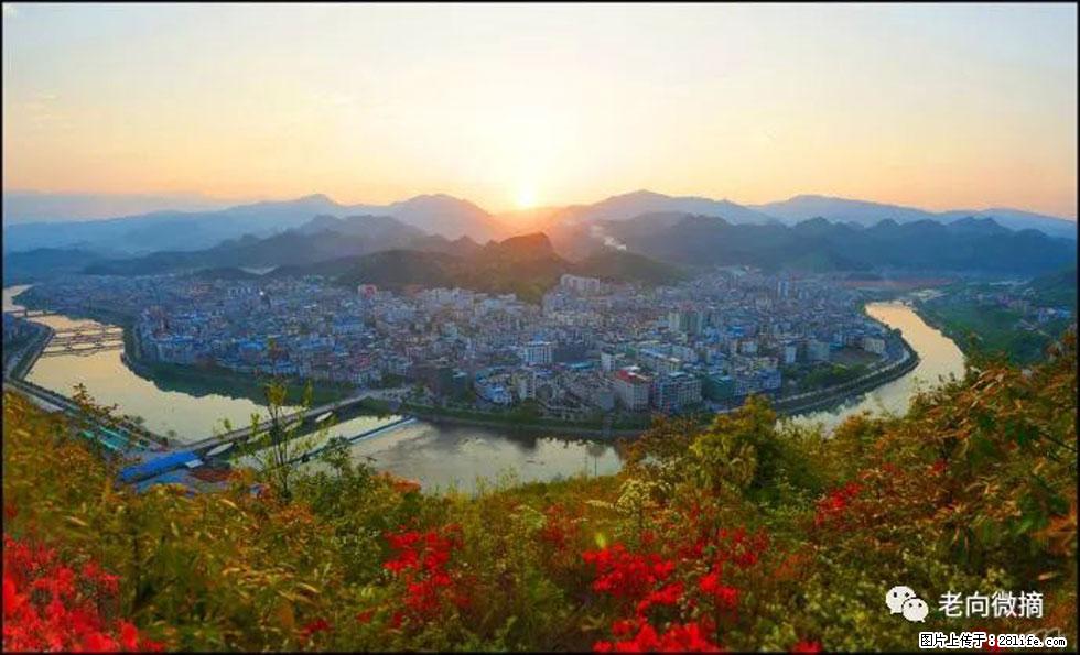 【春天,广西桂林灌阳县向您发出邀请!】登麒麟山,相约映山红 - 游山玩水 - 长葛生活社区 - 长葛28生活网 changge.28life.net