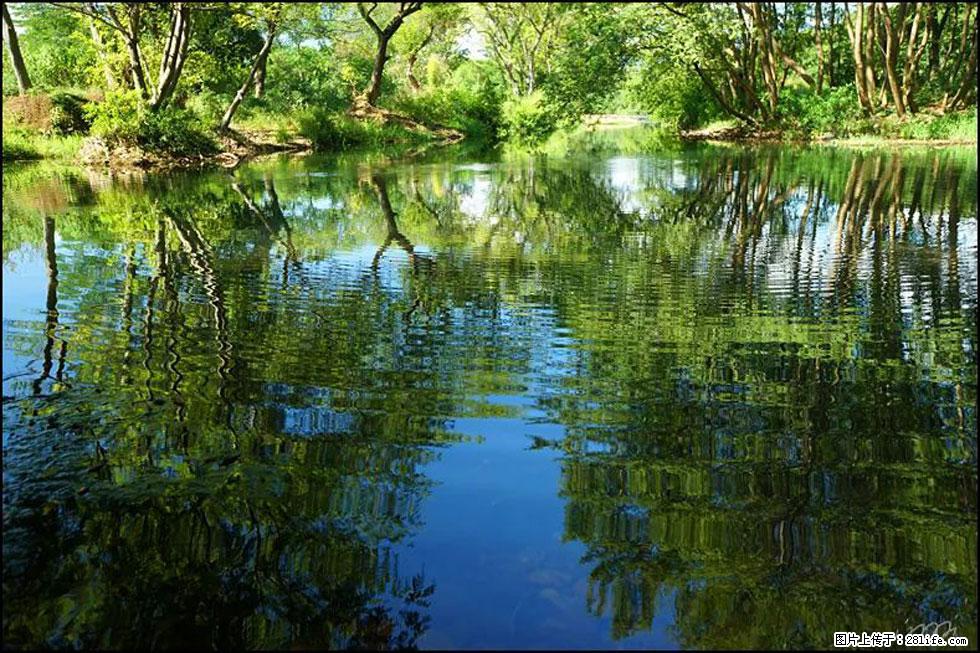 【春天，广西桂林灌阳县向您发出邀请！】熊家寨湿地公园 - 游山玩水 - 长葛生活社区 - 长葛28生活网 changge.28life.net