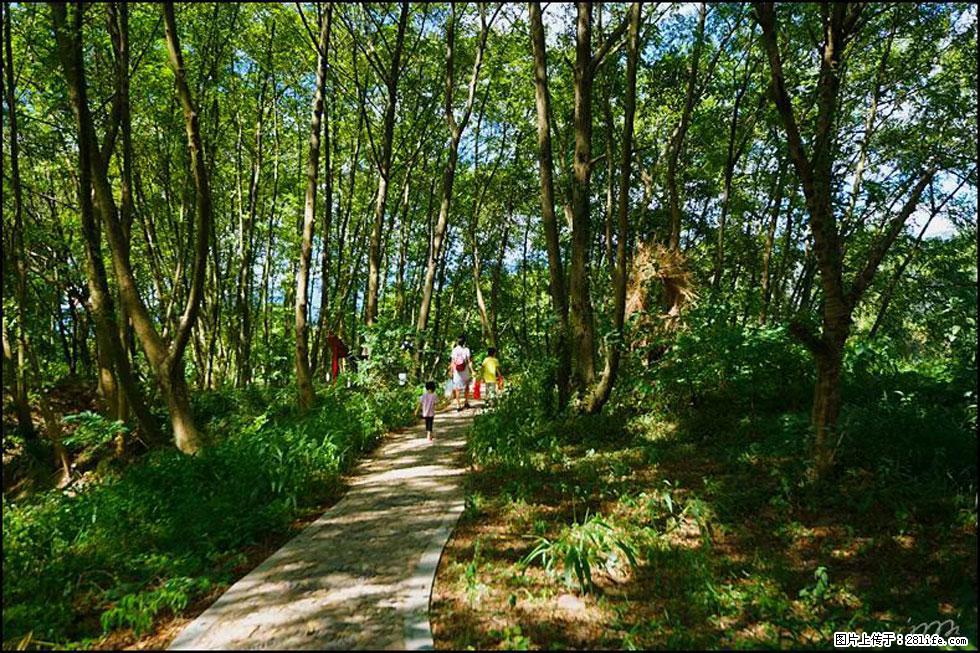 【春天，广西桂林灌阳县向您发出邀请！】熊家寨湿地公园 - 游山玩水 - 长葛生活社区 - 长葛28生活网 changge.28life.net