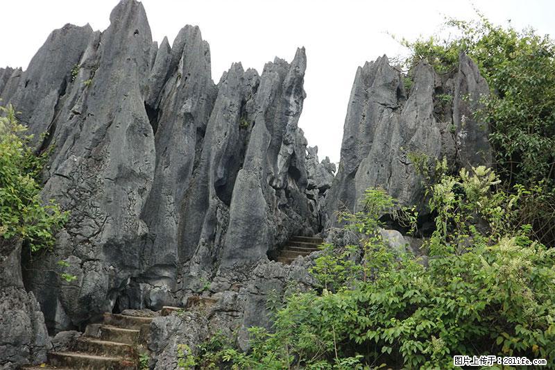 桂林旅游名城景点：灌阳文市石林 - 游山玩水 - 长葛生活社区 - 长葛28生活网 changge.28life.net