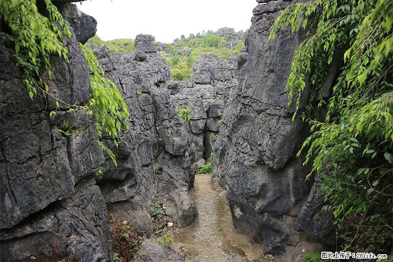 桂林旅游名城景点：灌阳文市石林 - 游山玩水 - 长葛生活社区 - 长葛28生活网 changge.28life.net
