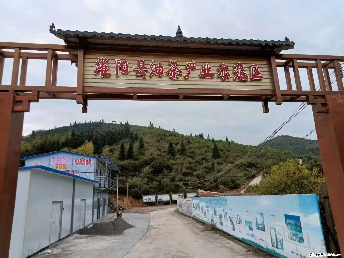 【灌阳县油茶产业示范区】一个有着充实的精神生活的人，对待身外之物自会有一种淡泊的态度 - 土特产 - 饮食特产 - 长葛分类信息 - 长葛28生活网 changge.28life.net