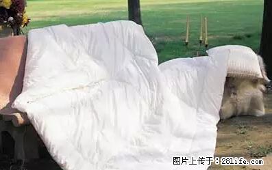 被子有异味？只要这样做，比晒太阳还强100倍！ - 家居生活 - 长葛生活社区 - 长葛28生活网 changge.28life.net