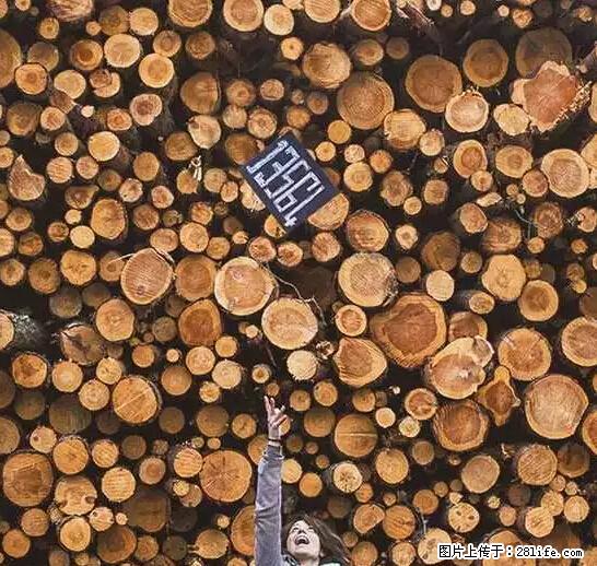 辞掉工作周游世界?现在他们在洗厕所…… - 游山玩水 - 长葛生活社区 - 长葛28生活网 changge.28life.net