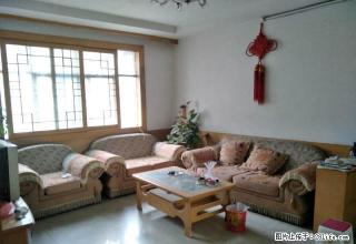 建设路南段中医院对面3室出租，家具家电齐全，拎包入住，， - 长葛28生活网 changge.28life.net