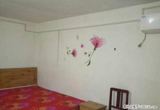新一峰西附近两层独院四室带家电干净 - 长葛28生活网 changge.28life.net