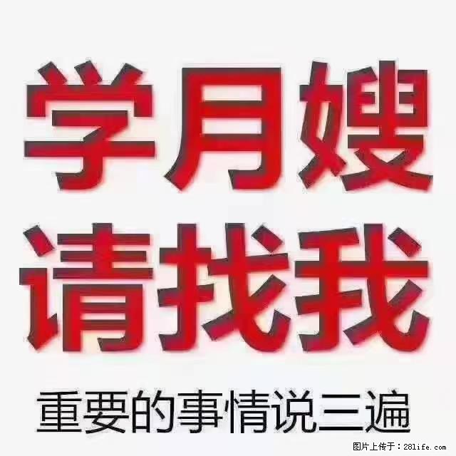 【招聘】月嫂，上海徐汇区 - 职场交流 - 长葛生活社区 - 长葛28生活网 changge.28life.net