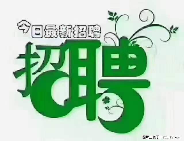 上海青浦区招仓管 - 职场交流 - 长葛生活社区 - 长葛28生活网 changge.28life.net