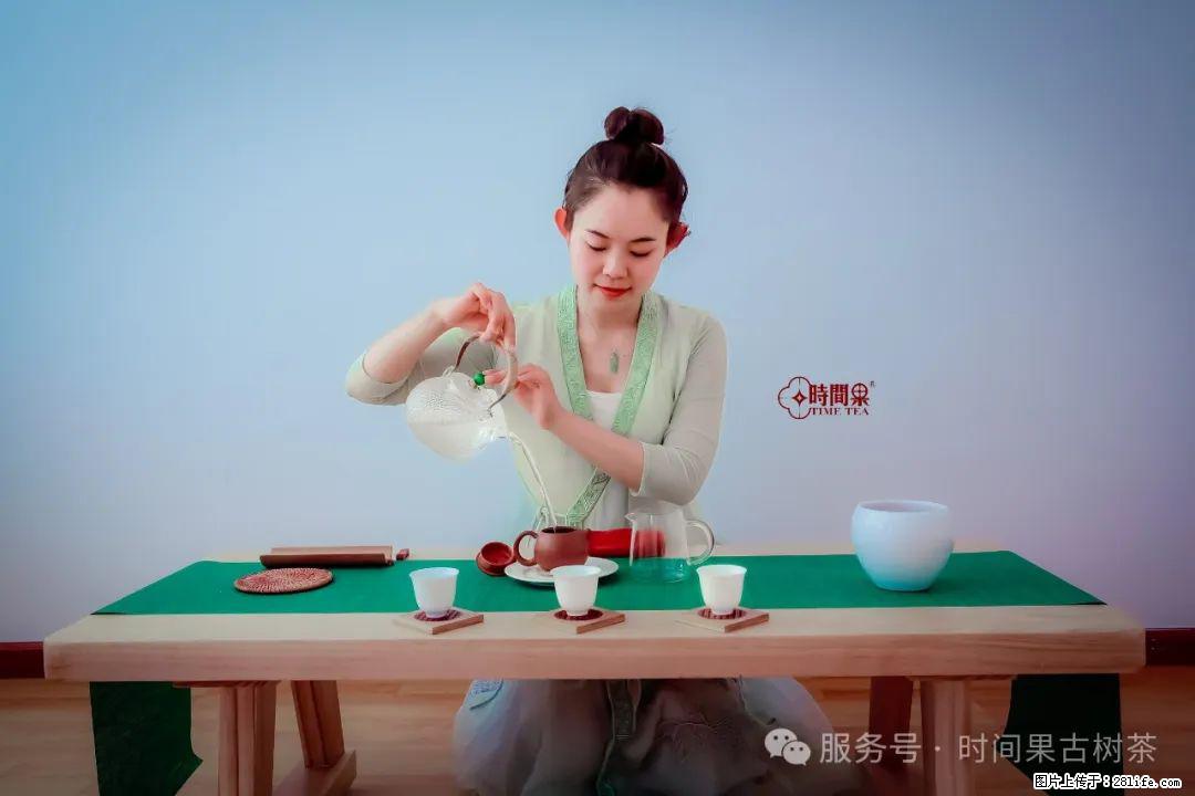 时间果百年古树龙珠普洱生茶 - 购物交流 - 长葛生活社区 - 长葛28生活网 changge.28life.net