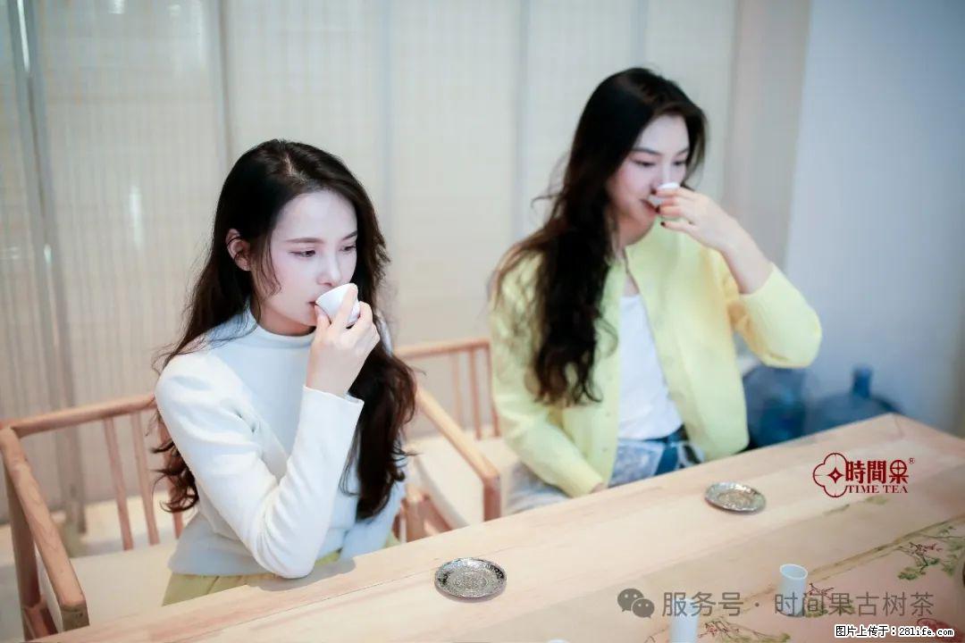 时间果百年古树龙珠普洱生茶 - 购物交流 - 长葛生活社区 - 长葛28生活网 changge.28life.net