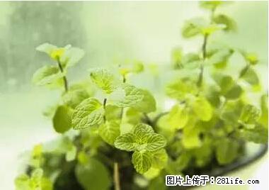 晕车、脚气、牙齿变黄、皮肤粗糙？学会这些三分钟搞定！ - 长葛生活资讯 - 长葛28生活网 changge.28life.net