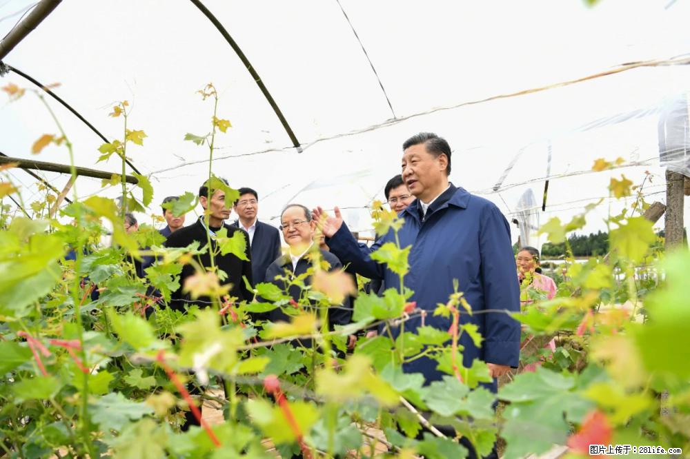 习近平赴广西考察调研 - 长葛生活资讯 - 长葛28生活网 changge.28life.net