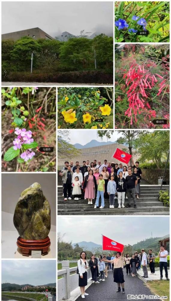 “粤灌文化 美好生活”油茶文化主题活动在广东深圳成功举办 - 长葛生活资讯 - 长葛28生活网 changge.28life.net