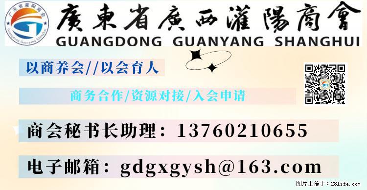 “粤灌文化 美好生活”油茶文化主题活动在广东深圳成功举办 - 长葛生活资讯 - 长葛28生活网 changge.28life.net