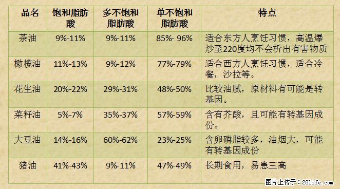 揭秘茶油的5大核心营养成分！被称为人体健康的“守护盾”！ - 长葛生活资讯 - 长葛28生活网 changge.28life.net