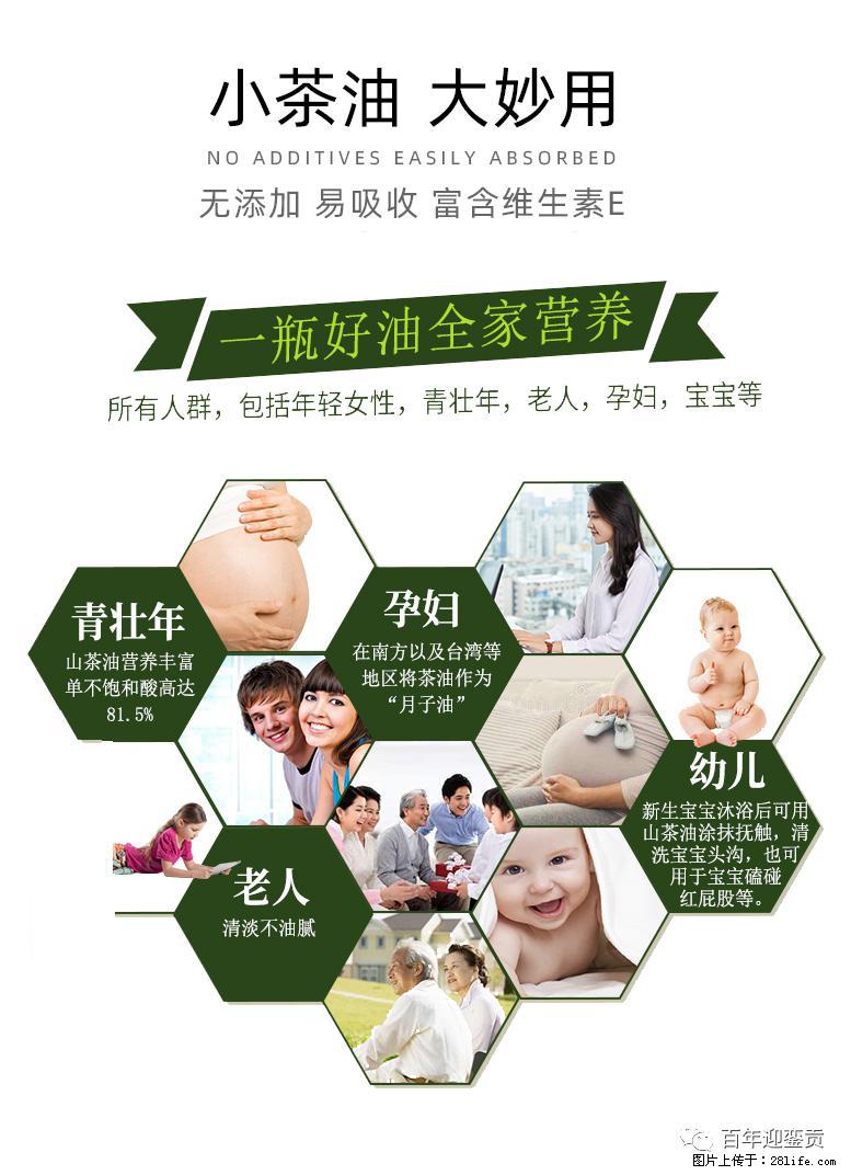 世界没有真相，只有认知，最好的食用油是中国的山茶油！ - 长葛生活资讯 - 长葛28生活网 changge.28life.net