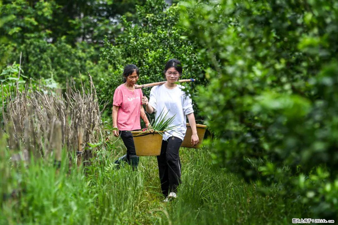 全网追的“扁担女孩”，找了一份暑假工，时薪12元 - 长葛生活资讯 - 长葛28生活网 changge.28life.net