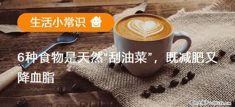 【生活小常识】6种食物是天然“刮油菜”，既减肥又降血脂 - 长葛生活资讯 - 长葛28生活网 changge.28life.net