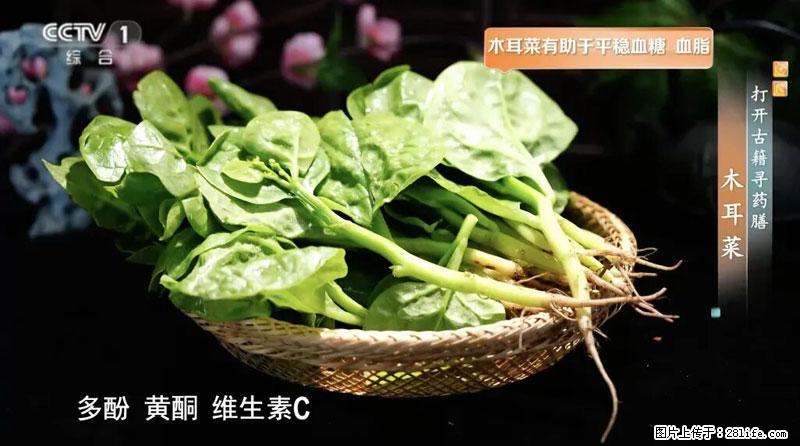 比牛奶补钙还厉害！凉血解毒、稳血糖...这菜冬天必吃，很多人却当草 - 长葛生活资讯 - 长葛28生活网 changge.28life.net