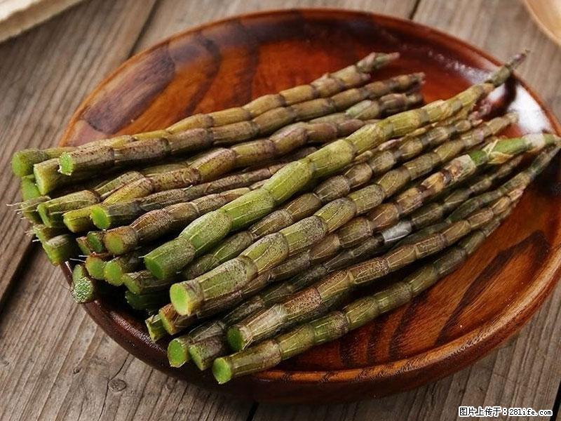 铁皮石斛的作用与功能主治 - 长葛生活资讯 - 长葛28生活网 changge.28life.net