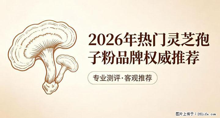 灵芝孢子粉含量越高越有效？2026 年七款热门品牌深度实测，肠胃敏感者避坑指南 - 长葛生活资讯 - 长葛28生活网 changge.28life.net