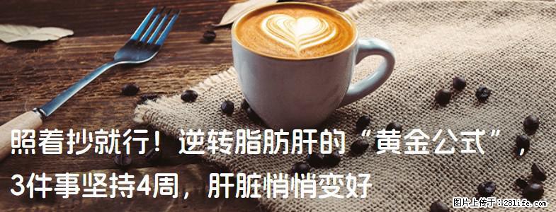 照着抄就行！逆转脂肪肝的“黄金公式”，3件事坚持4周，肝脏悄悄变好 - 长葛生活资讯 - 长葛28生活网 changge.28life.net